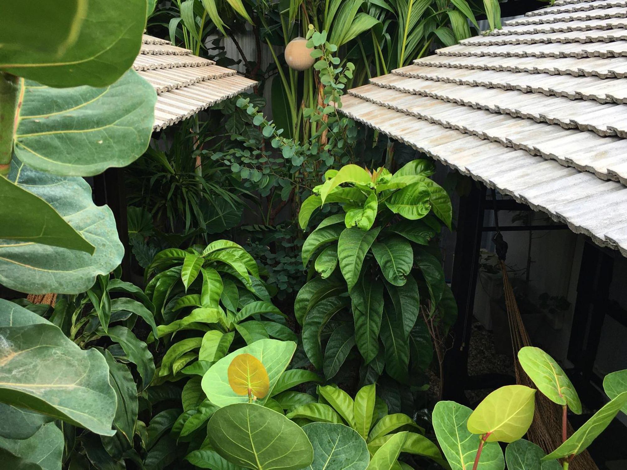 Su Kho Rom Always Home ศุโขรมย์ - Adults Only Chiang Mai Exterior foto