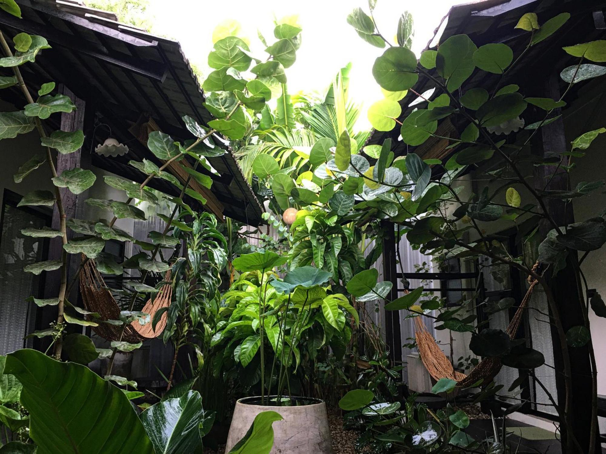 Su Kho Rom Always Home ศุโขรมย์ - Adults Only Chiang Mai Exterior foto